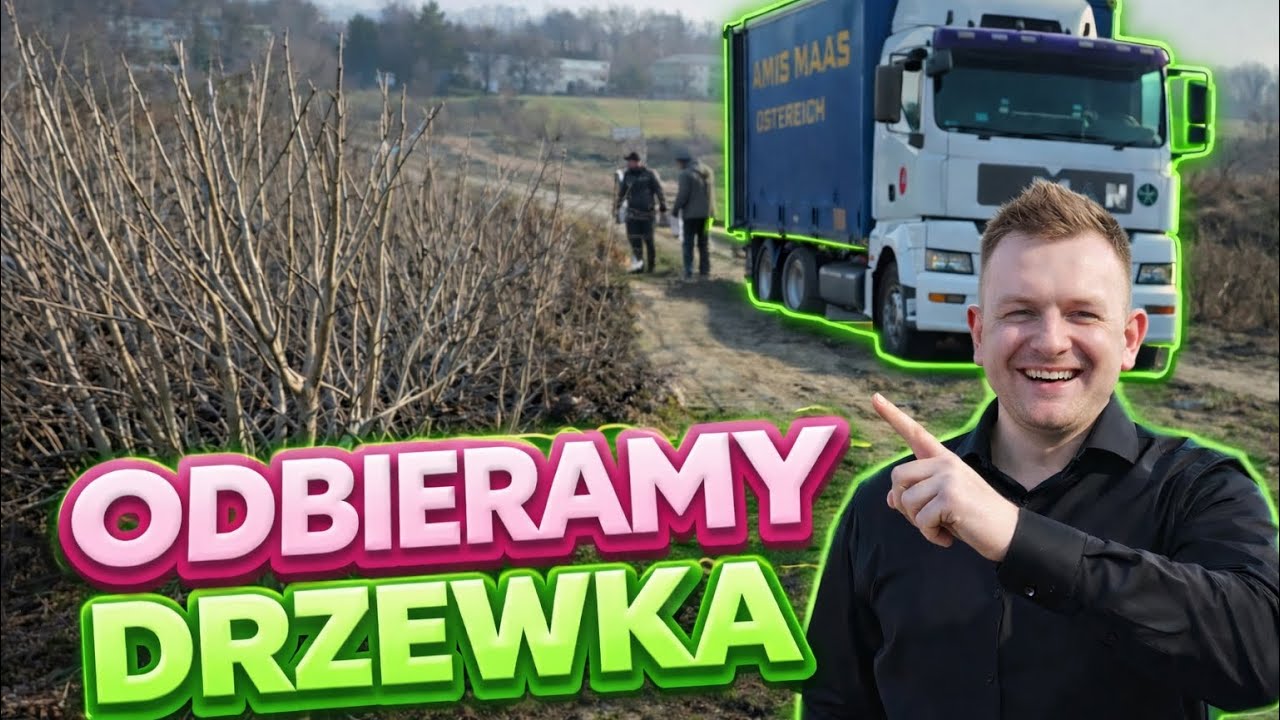 Przygotowania do sadzenia drzewek. Odbi&oacute;r materiału szk&oacute;łkarskiego 