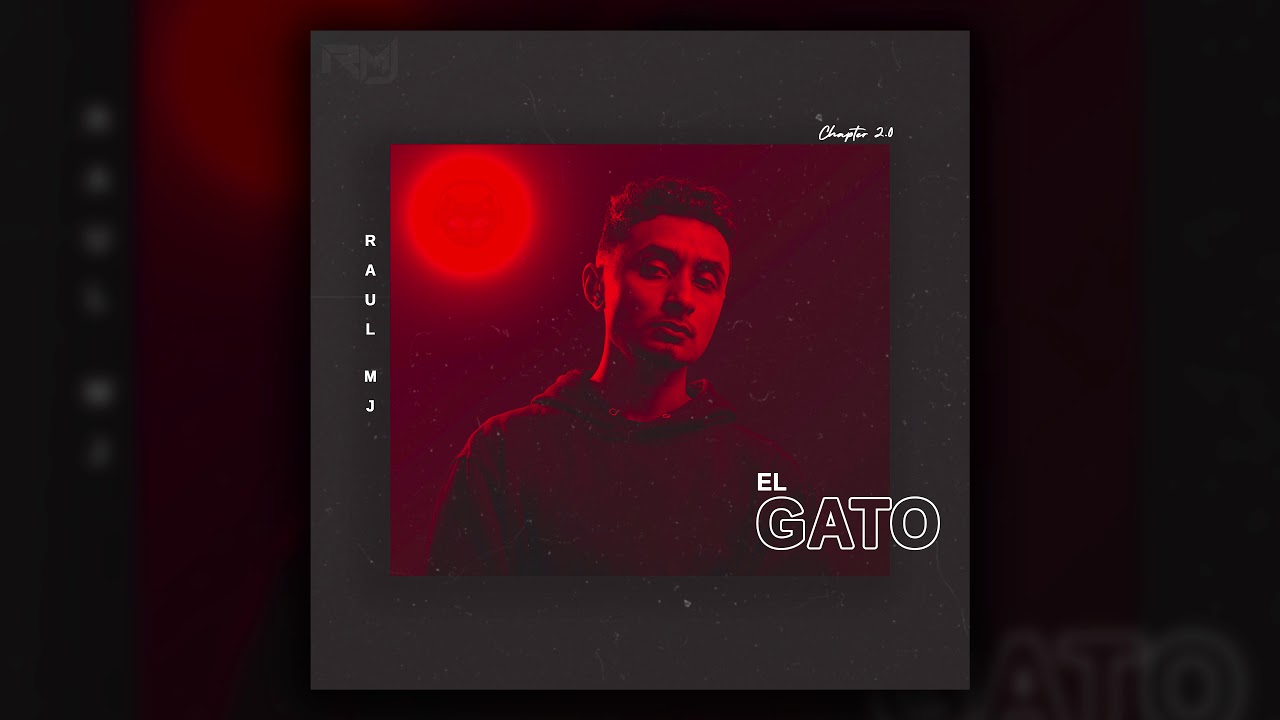 Raul Mj - El Gato (Audio)