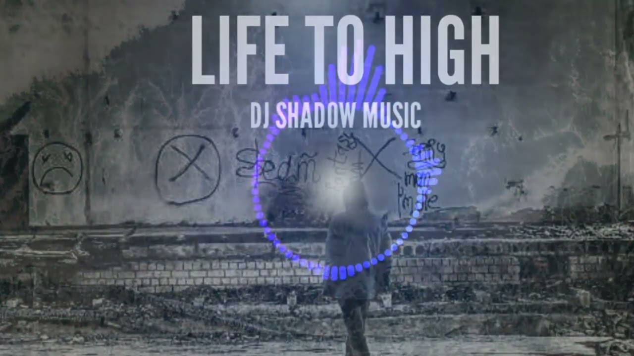 Life to High • DJ Shadow Music (Official audio & Visualizer)