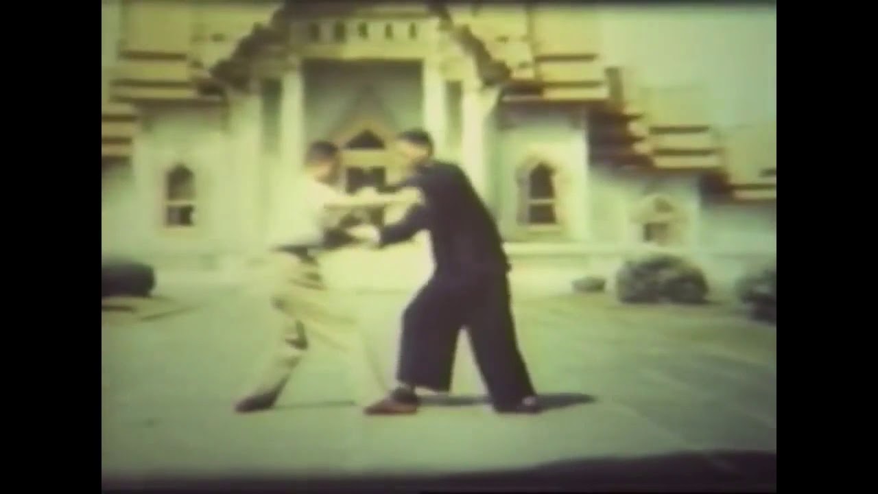 Gran Maestro Dong Huling - Forma 85 stile Yang e Tui Shou