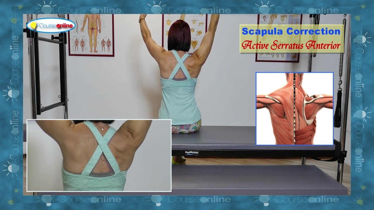 This is How your Learn about Scapula Stability! Visual and Demos Galore!