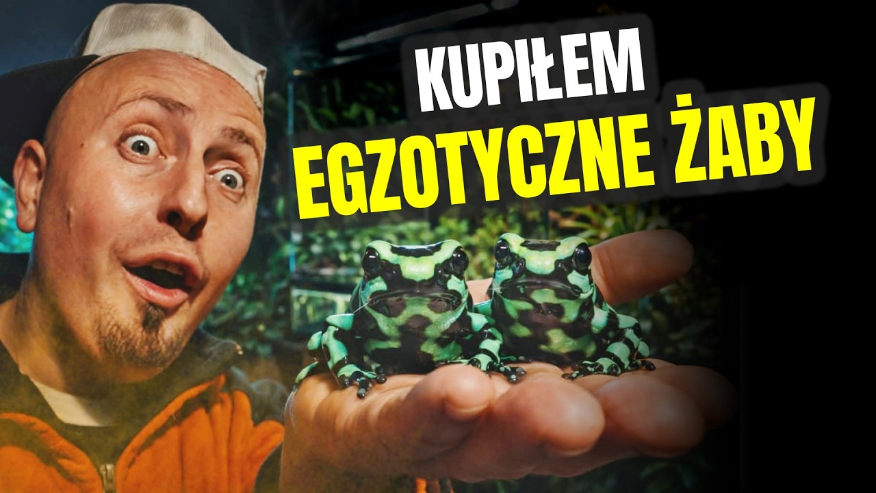 KUPIŁEM EGZOTYCZNE ŻABY 🐸 zmiana dekoracji w terrarium ! odc. 835