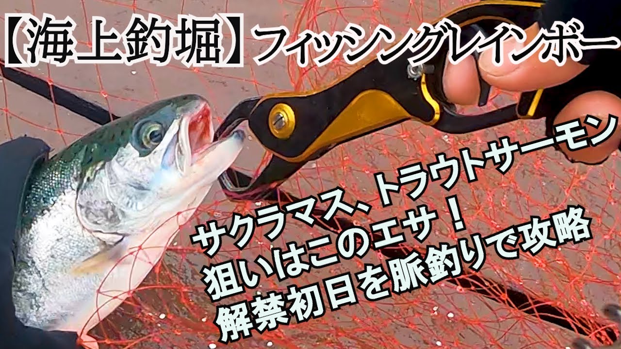 Vol.6【海上釣堀】解禁！フィッシングレインボー　サクラマス、トラウトサーモン狙いはこのエサ！