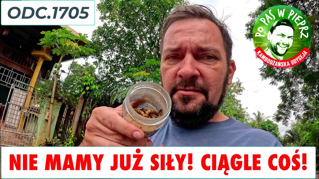 Ciągle kłody pod nogi! Tracimy siły do tego... Odc.1705
