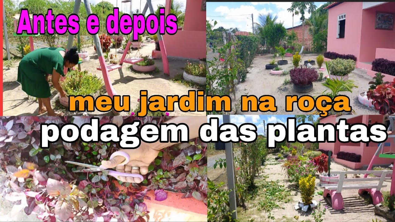 Cuidando do jardim, fazendo podagem das plantas/ meu jardim perfeito da roça ‼️ Antes e depois 🥹