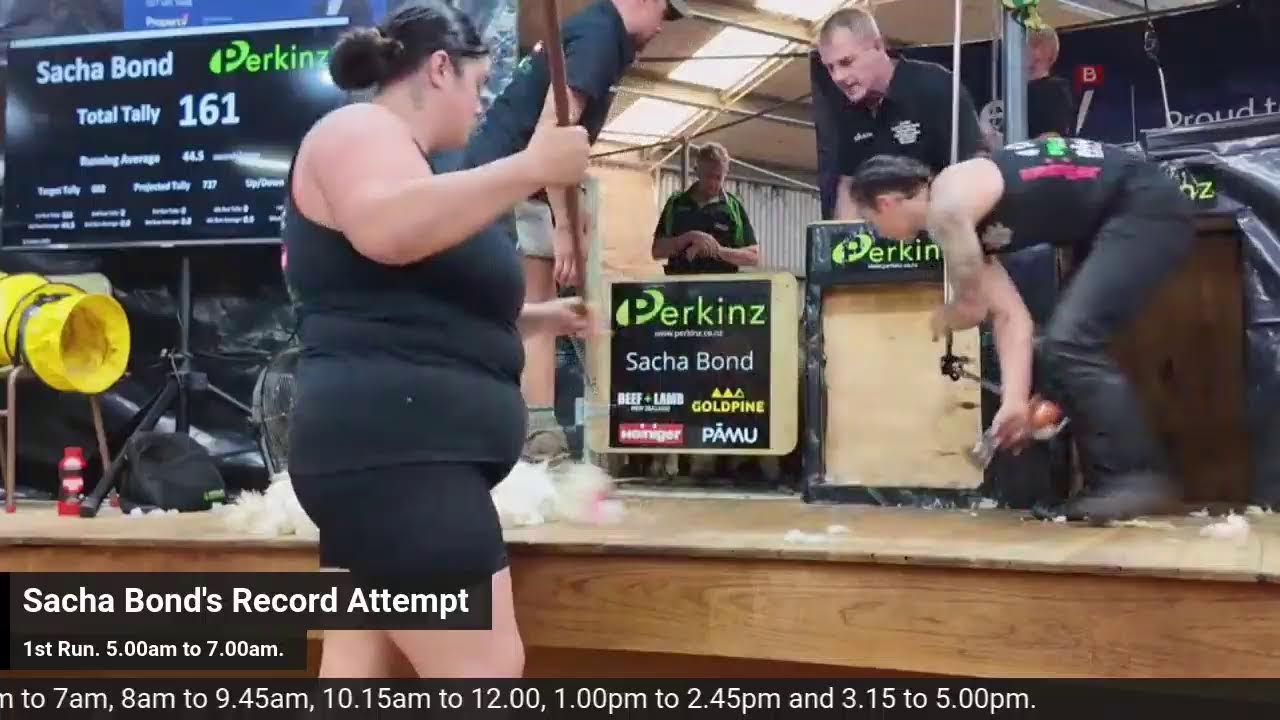 Sacha Bond Shearing Record