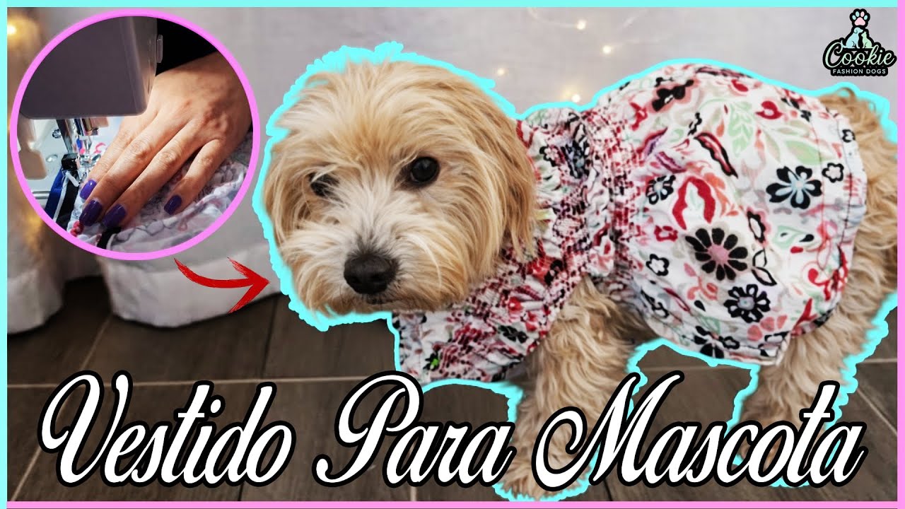 Vestido para Mascota / Costura 