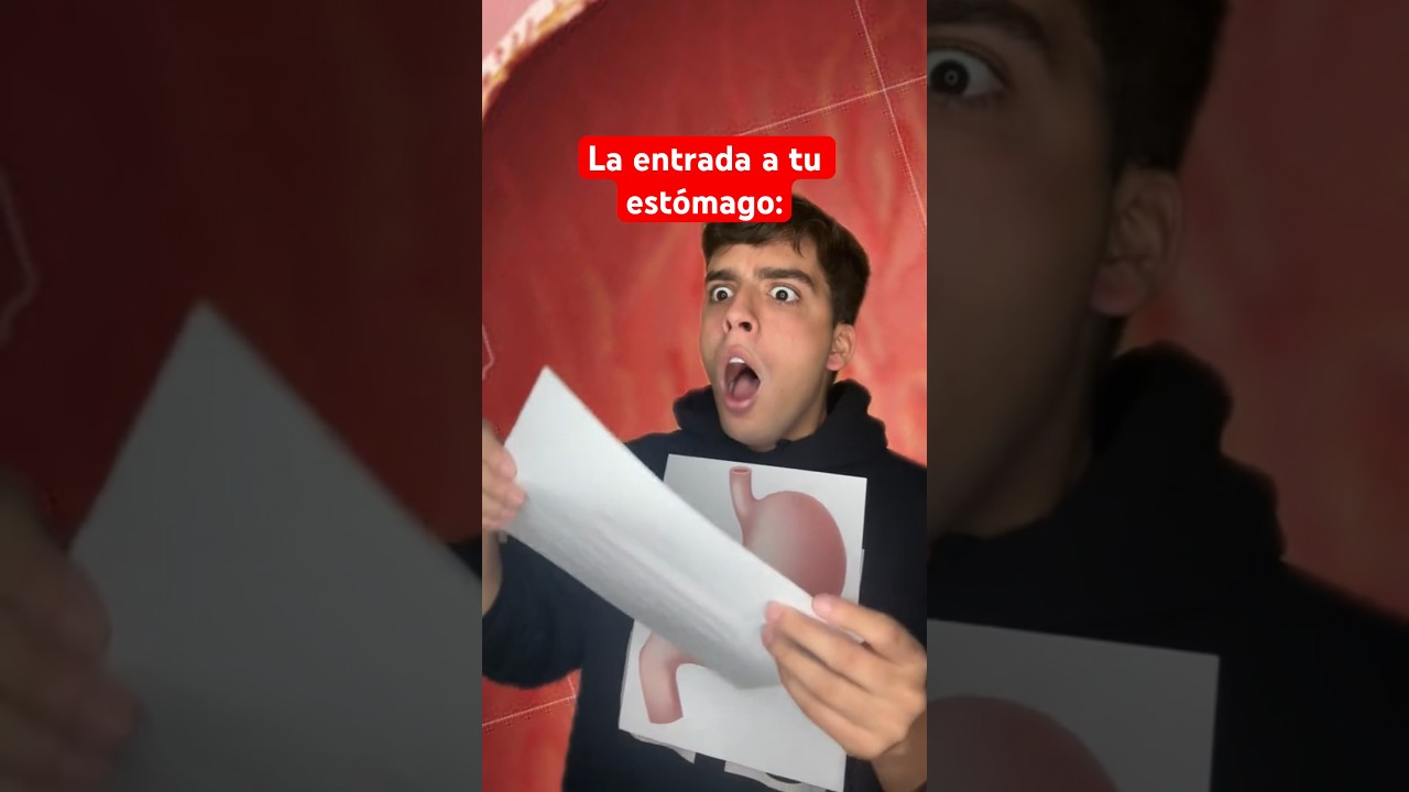 Mientras tanto T&Uacute; EST&Oacute;MAGO cuando comes comida no saludable 😂😂