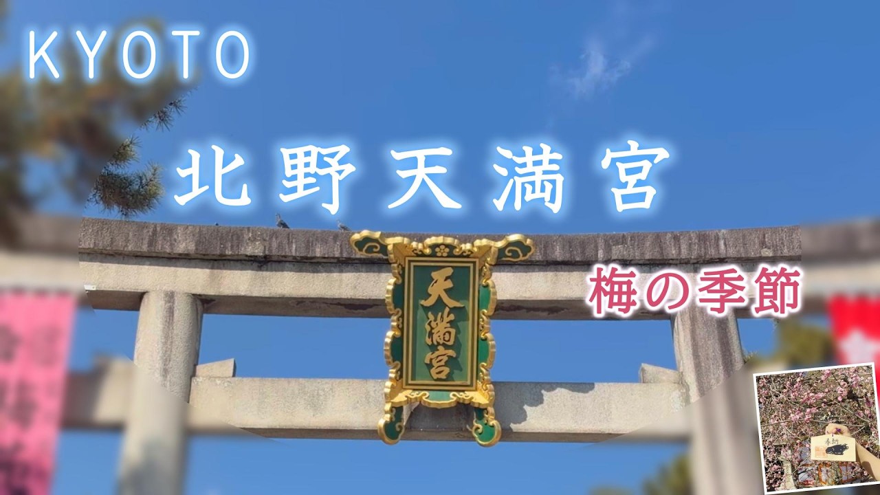 【京都・北野天満宮】2026年、早春。梅の境内を散策。