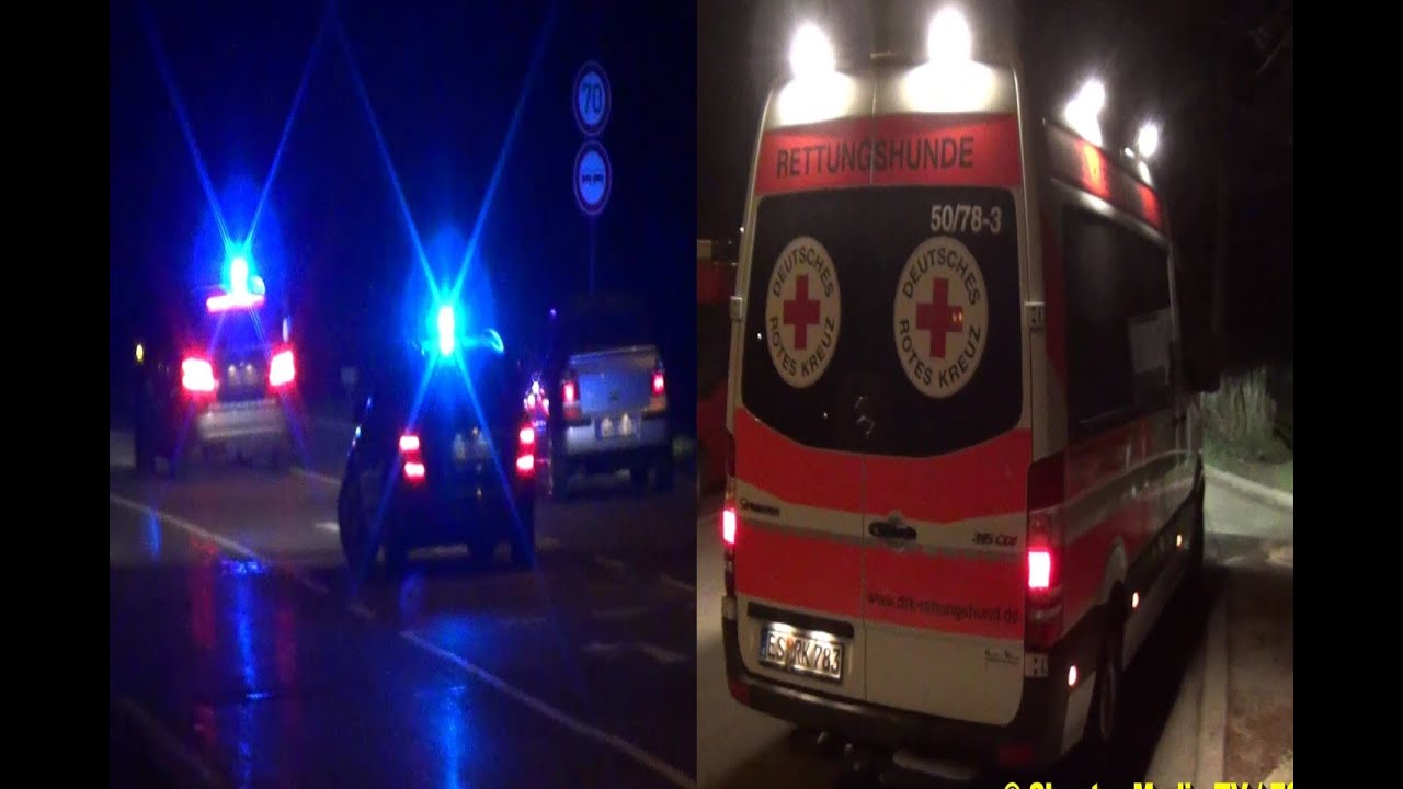 GROSSER RETTUNGSHUNDESTAFFEL EINSATZ | [15 Hundestaffeln] [Suche nach einer vermissten Person]