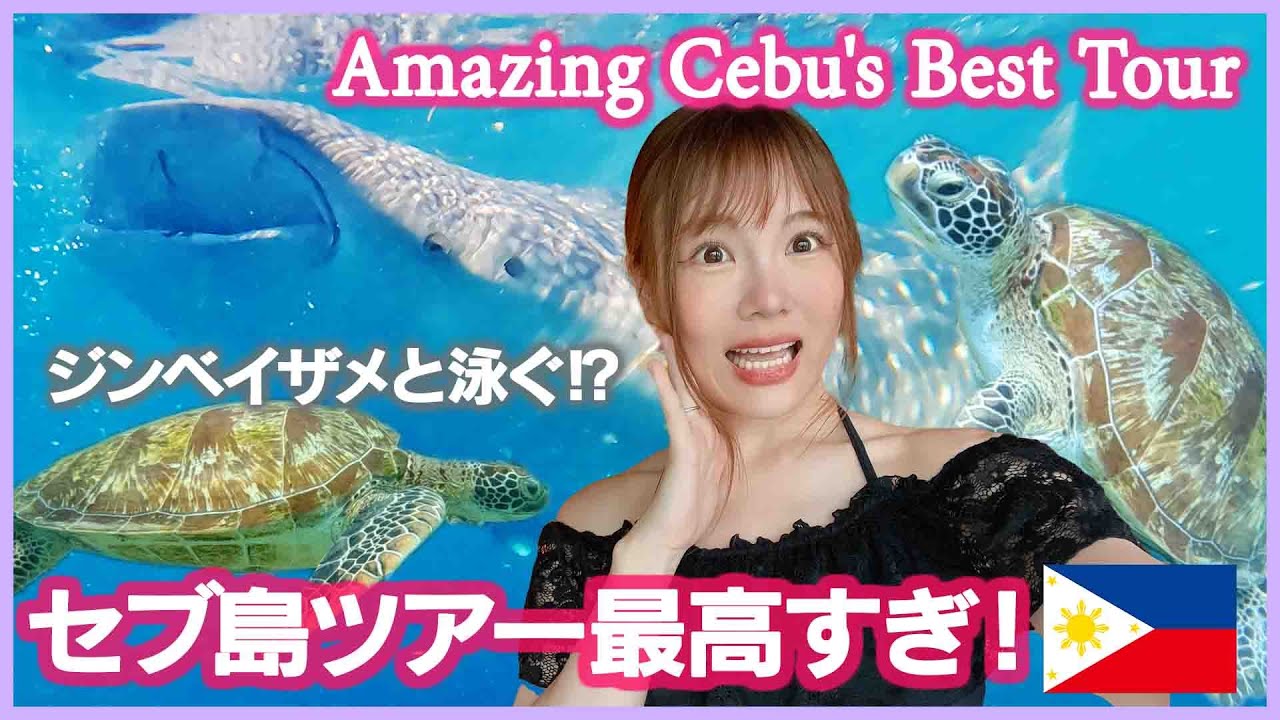 【セブ島旅行VLOG】行く前に見て！ジンベイザメ＆ウミガメと泳げるツアーが最高すぎた！