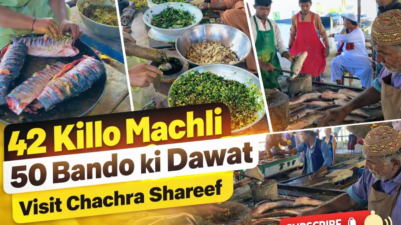 picnic point tour, fish point dawat|Chachran sharif bridge | Fish in paper Fish Recipe |Masala fish