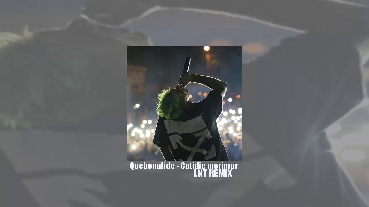 Quebonafide - Cotidie morimur [LNT REMIX]