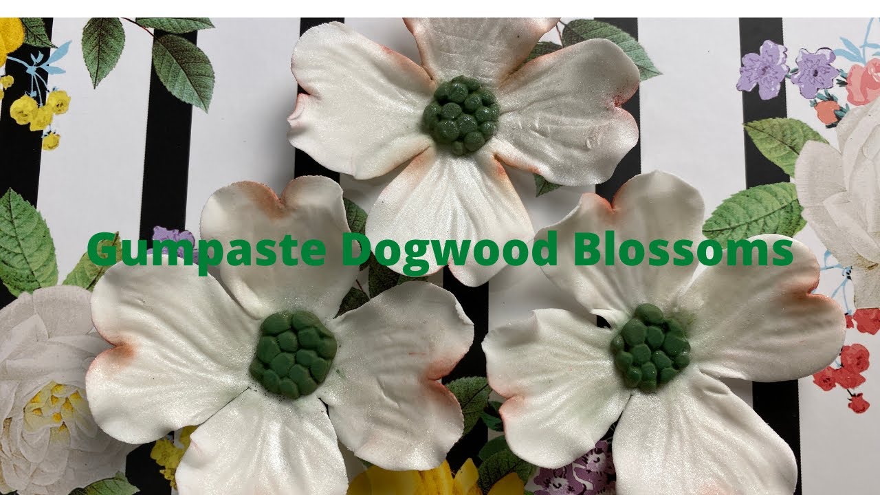 Gumpaste Dogwood Blossoms (Part 7)