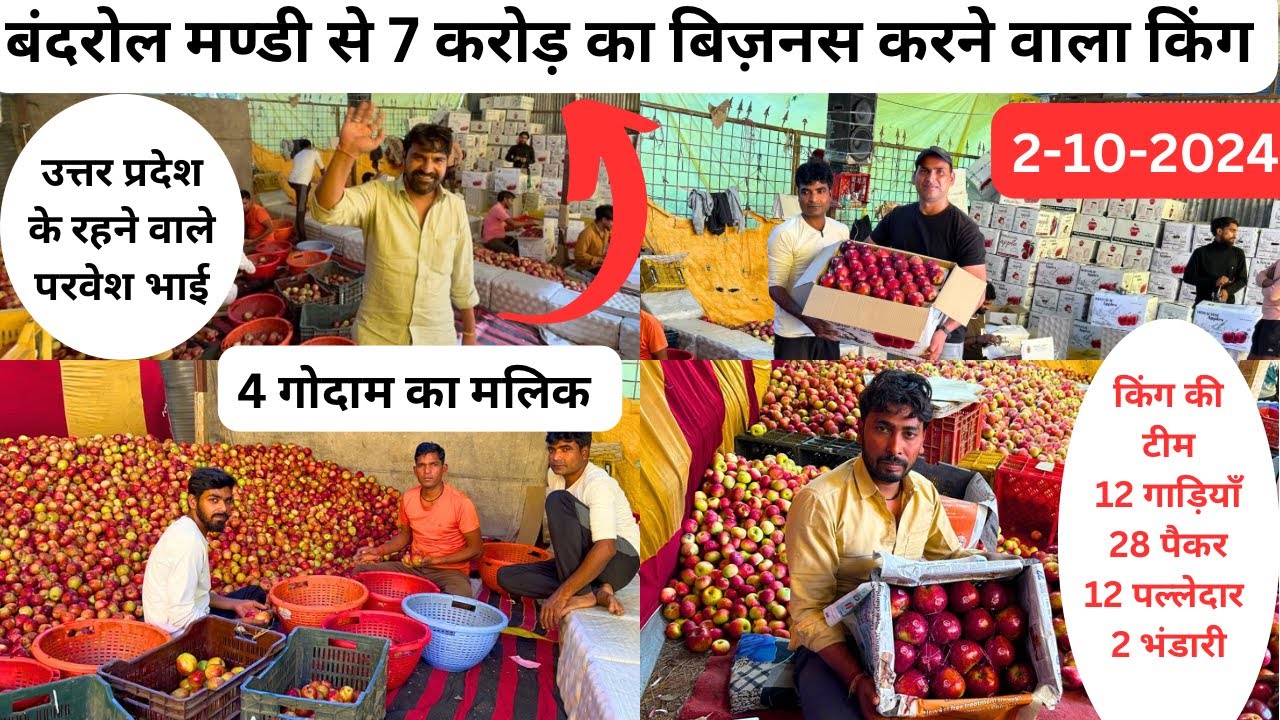 कुल्लू बंदरोल मण्डी से 7 करोड़ का बिज़नस करने वाले किंग 🍎4 गोदाम,12 गाड़ियाँ,28पैकर 🍎02 OCTOBER 2024
