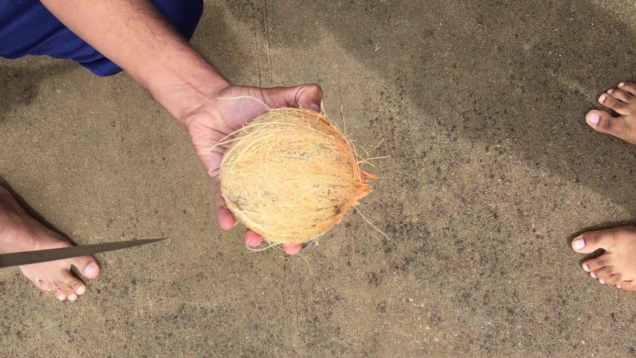 How to break a coconut the right way.