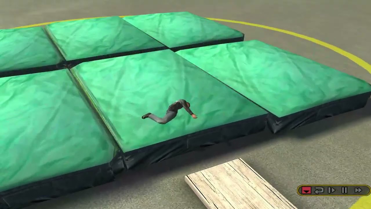 Flatout Ragdolls
