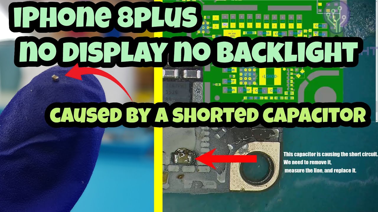 How I Resurrected a Dead iPhone 8 Plus - No Display and No Backlight Fixed!