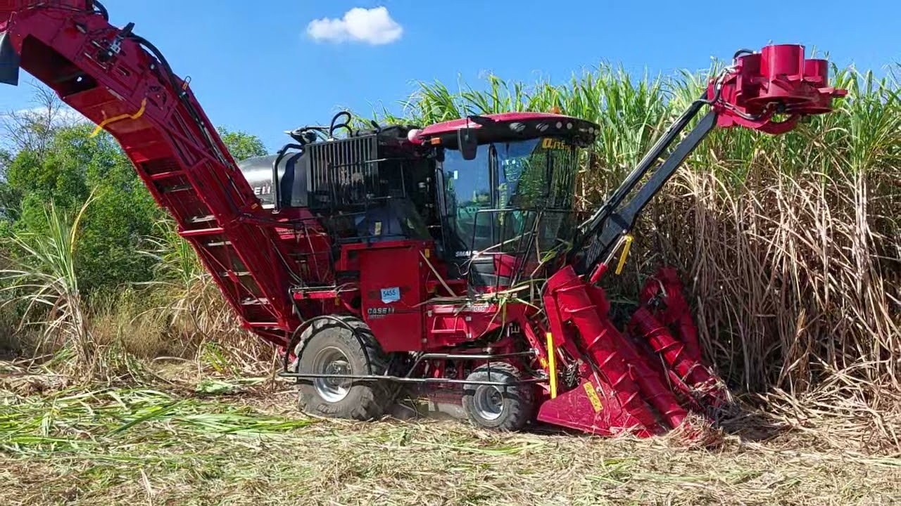 ใหม่ถอดด้าม 12 ล้าน รถตัดอ้อย CASE IH8010  เปิดฤดูกาล สิบล้อ HO7D BO sugar cane hsrvaster EP.8977