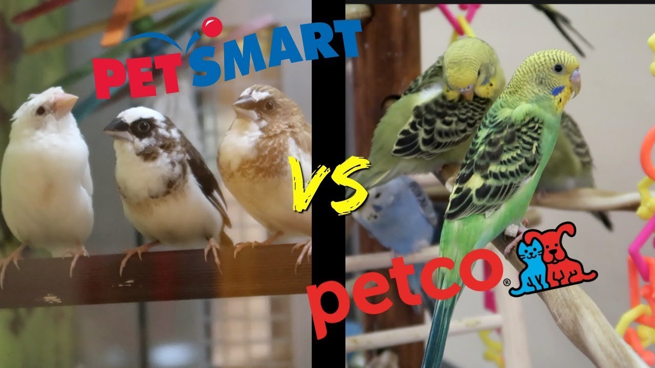 PETSMART vs PETCO | Who has better BIRD care?