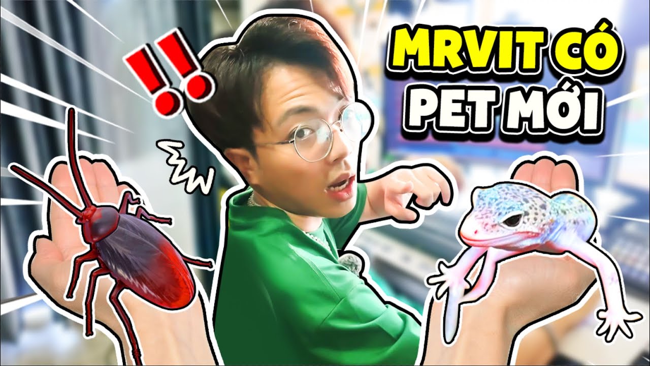 Mr Vịt Nhận Nuôi PET MỚI KINH HOÀNG với Hero Team | MrVit Vlog #23