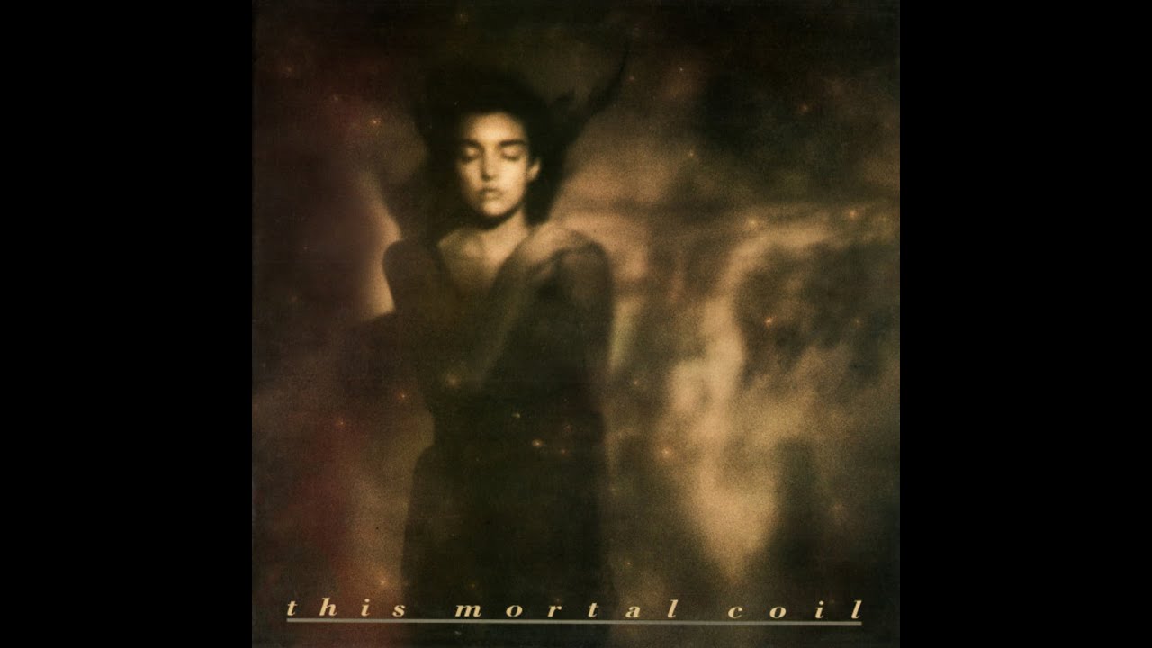 THIS MORTAL COIL - Holocaust