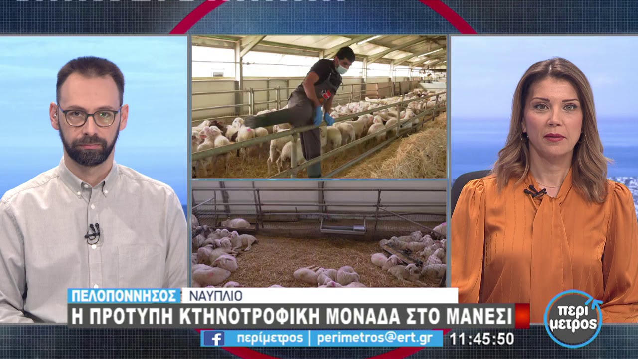 Πρότυπη κτηνοτροφική μονάδα στο Μάνεση του Ναυπλίου | 04/02/2021 | ΕΡΤ