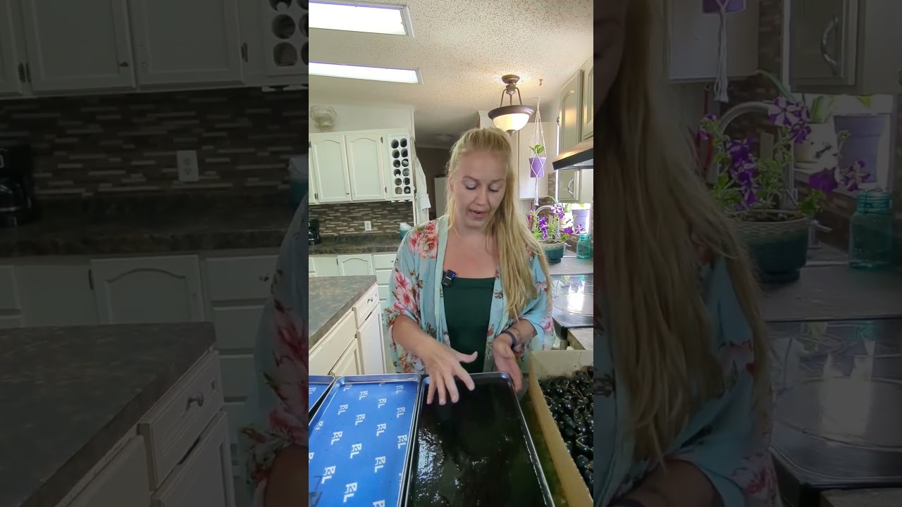 Freeze Dried Cherries! Simple, sweet, and seriously delicious! #freezedriedcandy #freezedriedfriday