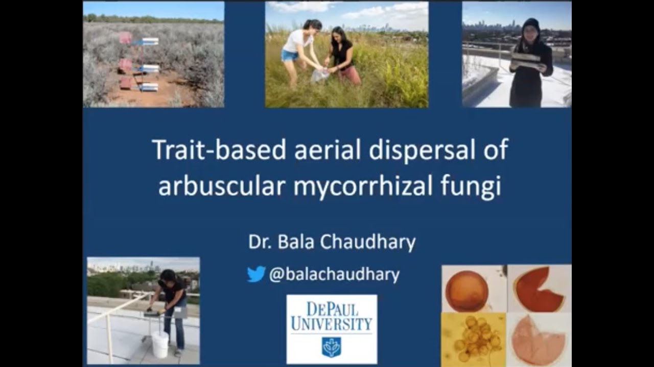 DePaul CDM Research Colloquium - Dr. Bala Chaudhary - Aerial Dispersal of Mycorrhizal Fungi