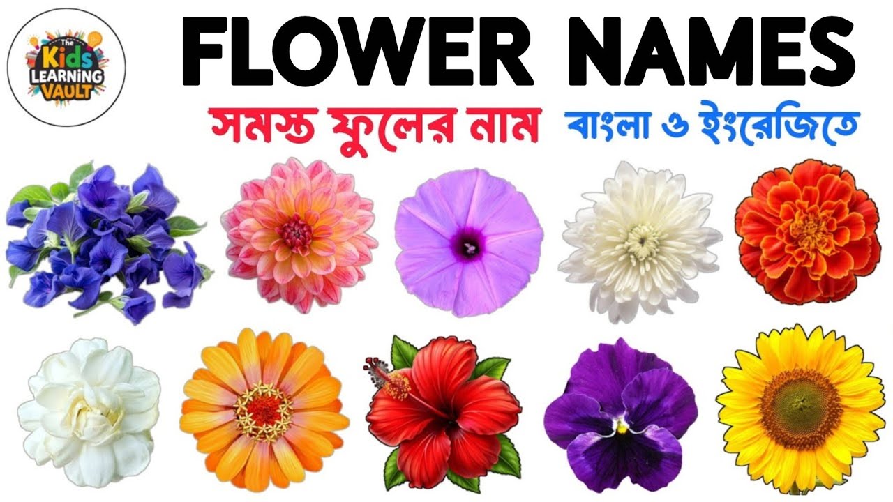 বিভিন্ন ফুলের নাম বাংলা ও ইংরেজিতে | Flower Names For Kid's - English and Bengali 