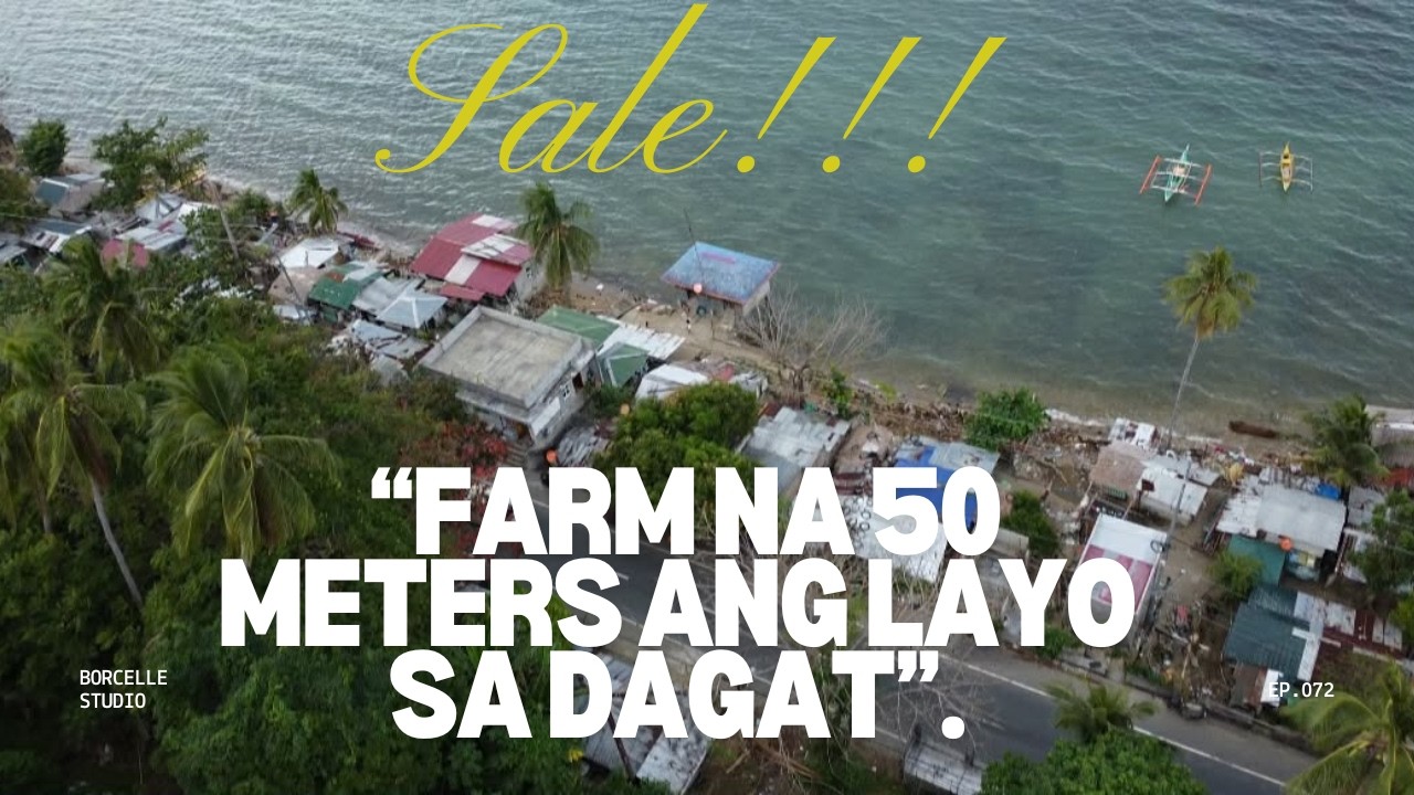 Blog 74 ( FARM NA KALAPIT NG DAGAT)