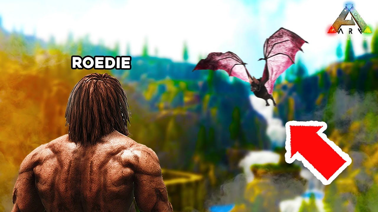 HET BESTE BEGIN OOIT OP FJORDUR!! (ARK Nederlands)