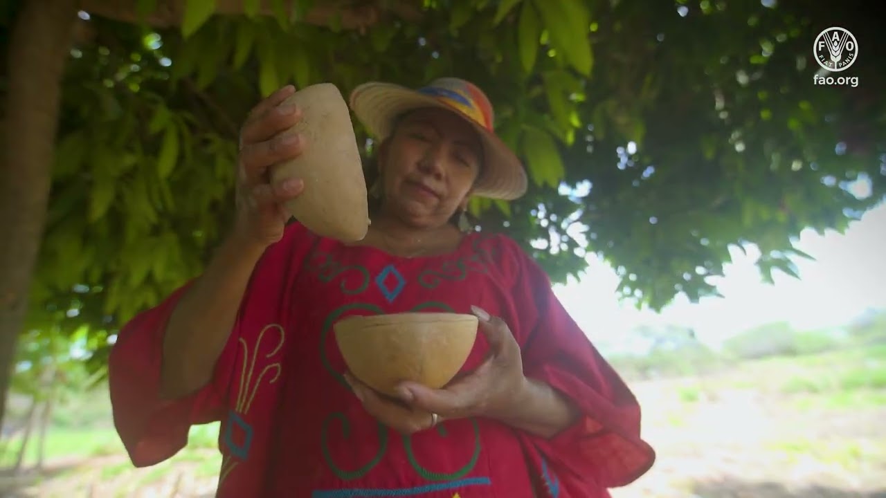 Transforming Food Systems: The GEF-8 FSIP