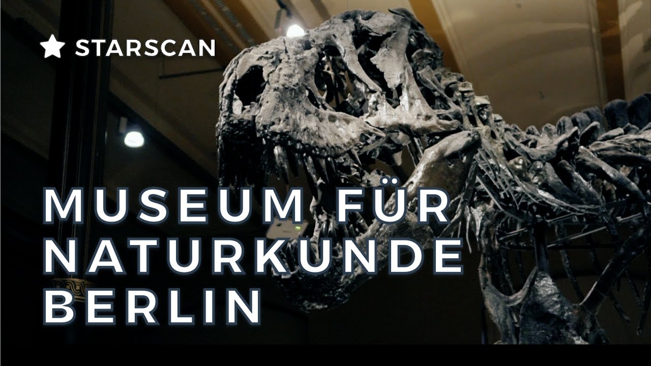 Museum f&uuml;r Naturkunde Berlin