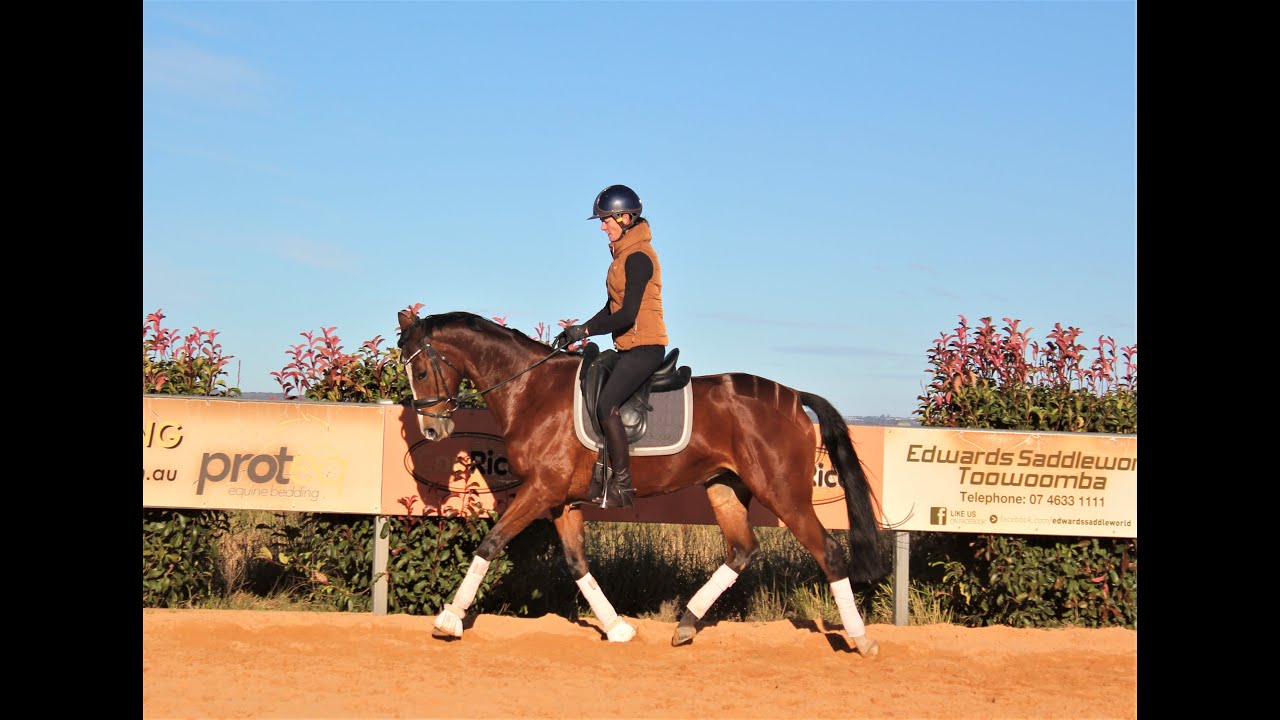 Spidora Dressage