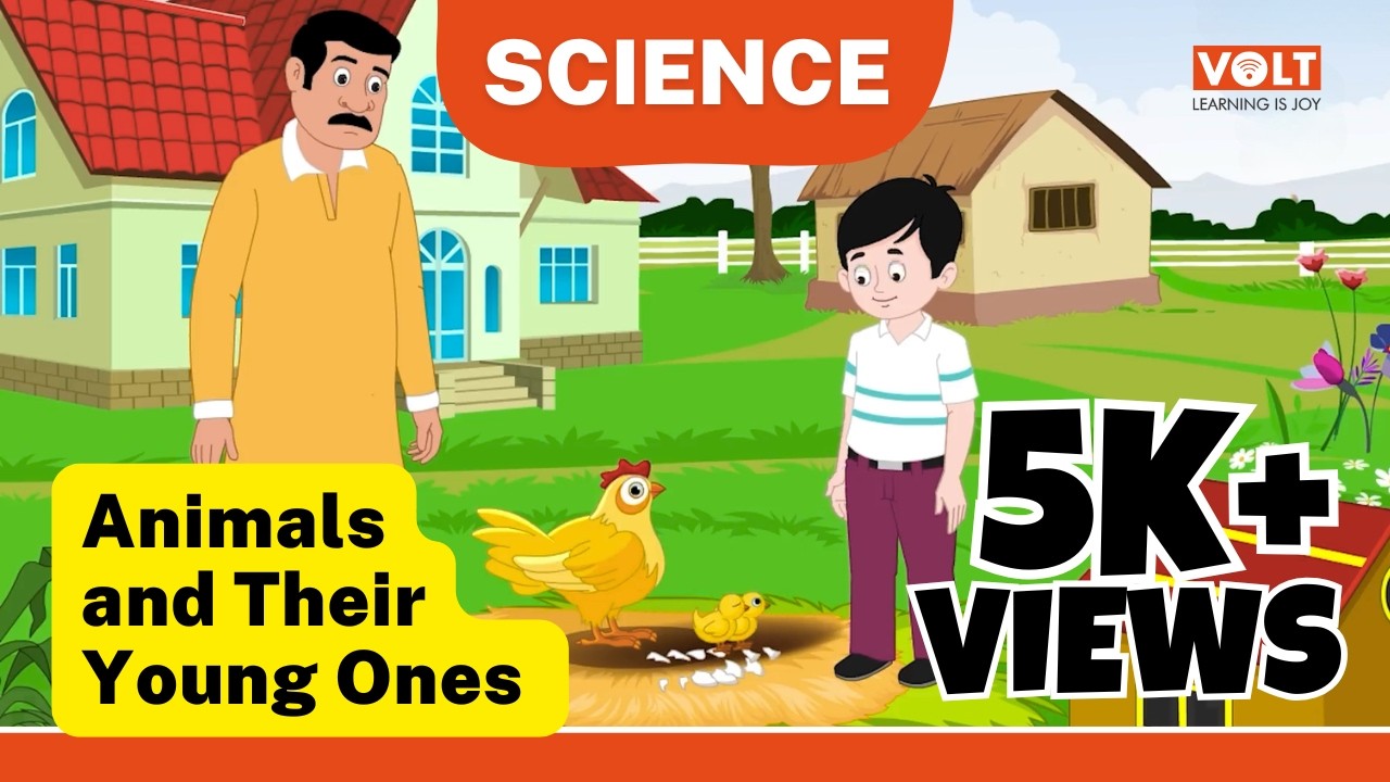 Animals and Their Young Ones | Science for Class 4