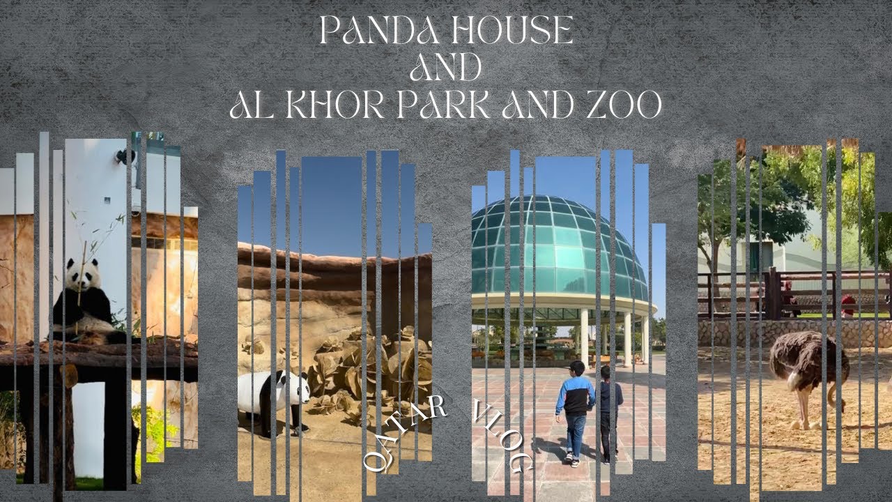 Places To Visit In Qatar Panda House/Al Khor Park And Zoo Travel Vlog Ep21 #travel #youtubevideo