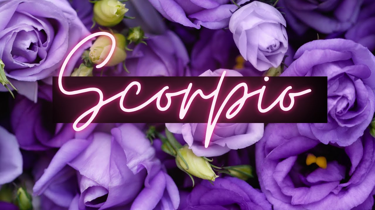 Scorpio💖The universe is lifting you up & placing you where you are meant to be! #Love #June 2021