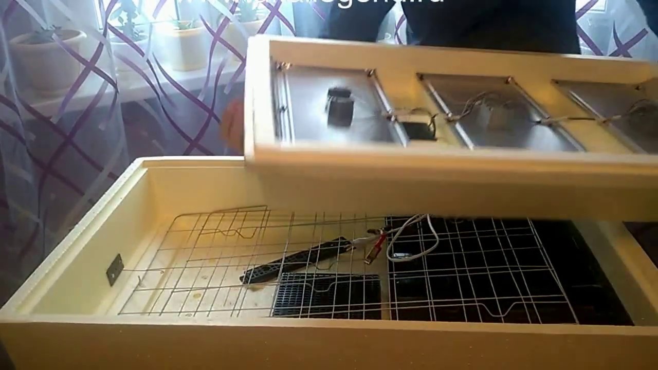 Инкубатор Золушка с автоматическим переворотом на 98 яиц 220/12 вольт