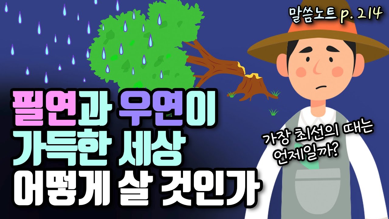 필연과 우연이 가득한 인생, 가장 지혜로운 삶의 원칙 | 조정민목사 | 전도서 11장