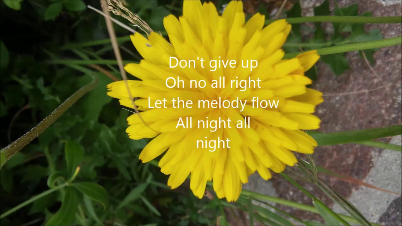 Music Is Power - Richard Ashcroft - LYRICS