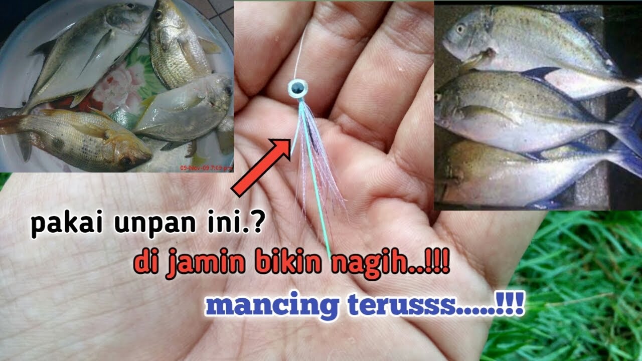 #Sabiki lure kiler mata ikan. 100% bikin betah mancing