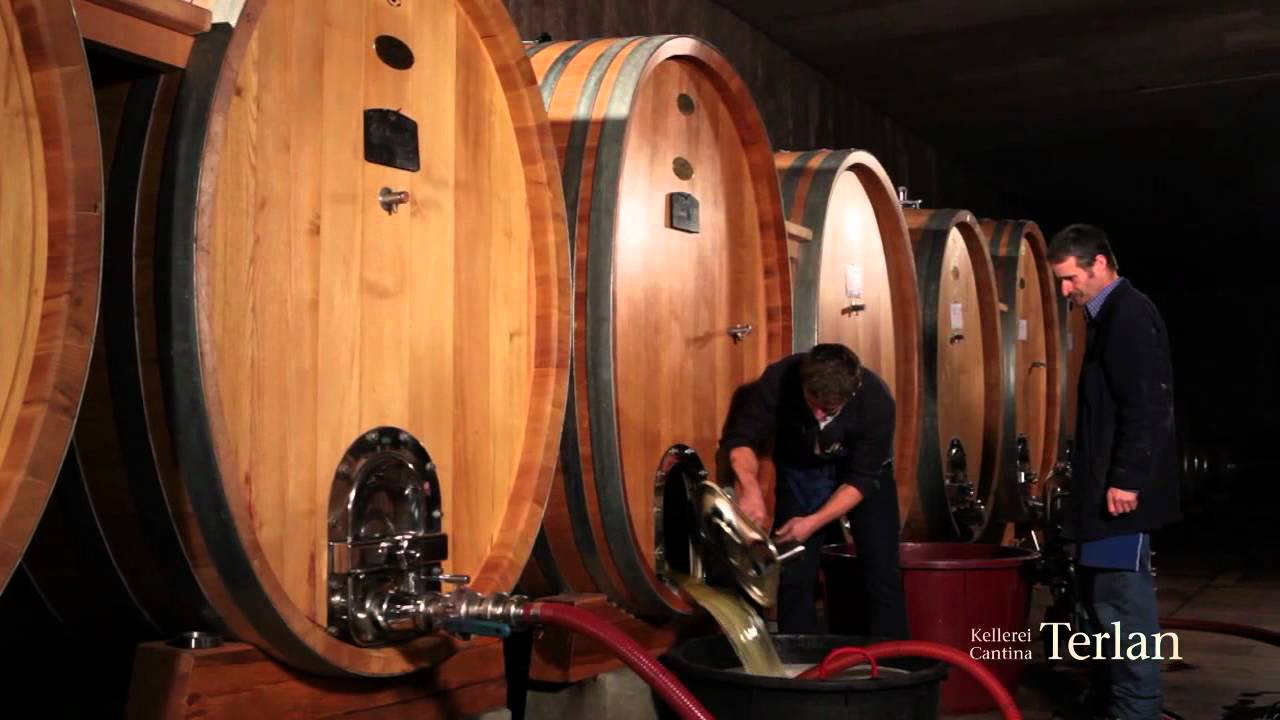 Kellerei Terlan - Cantina Terlano
