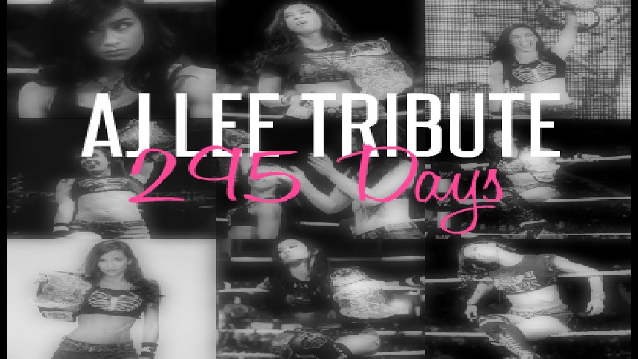 AJ Lee | 295 Days