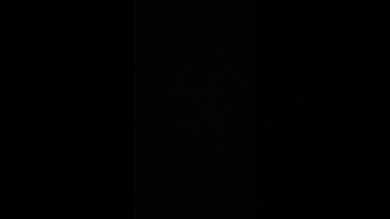 Xorberax (Zooloo75) - sin(x)