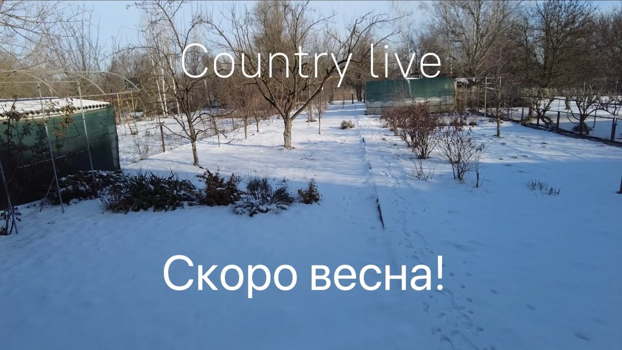 Country live. Скоро весна! 23.02.2026
