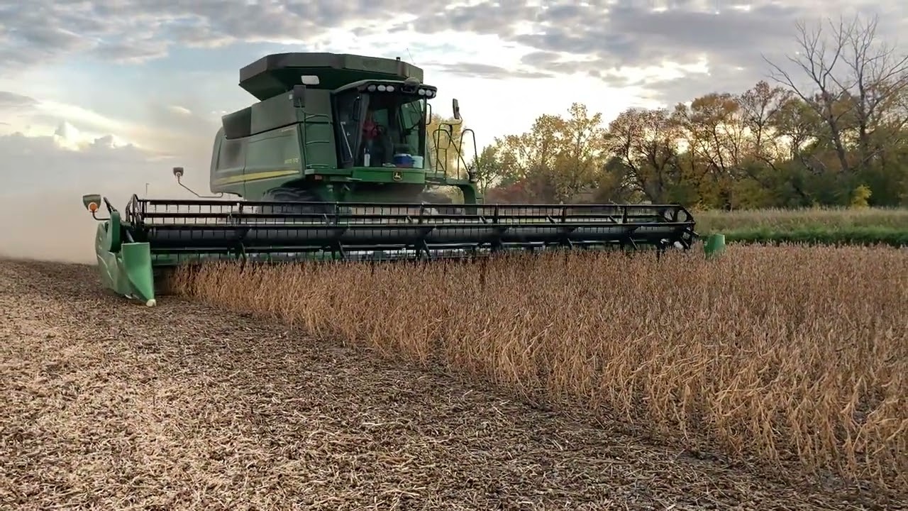 Reynolds Soybean Harvest 2022