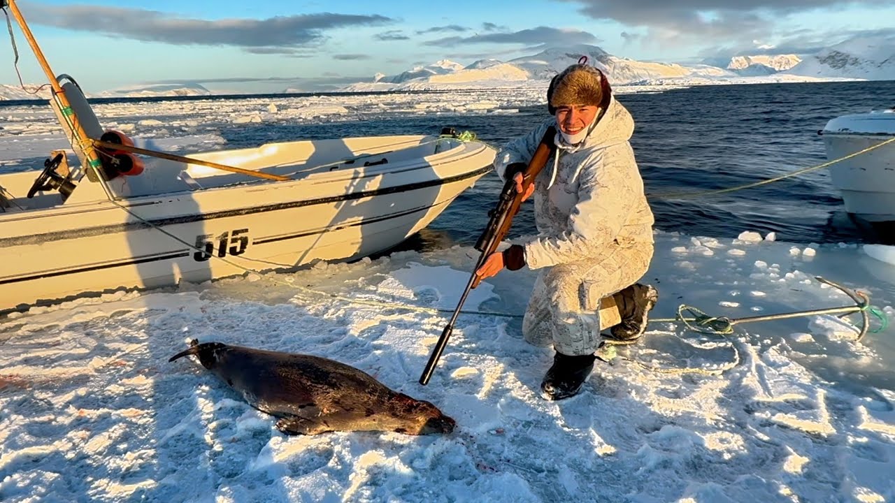Seal Hunting Deep In The Fjord Of Nuuk!