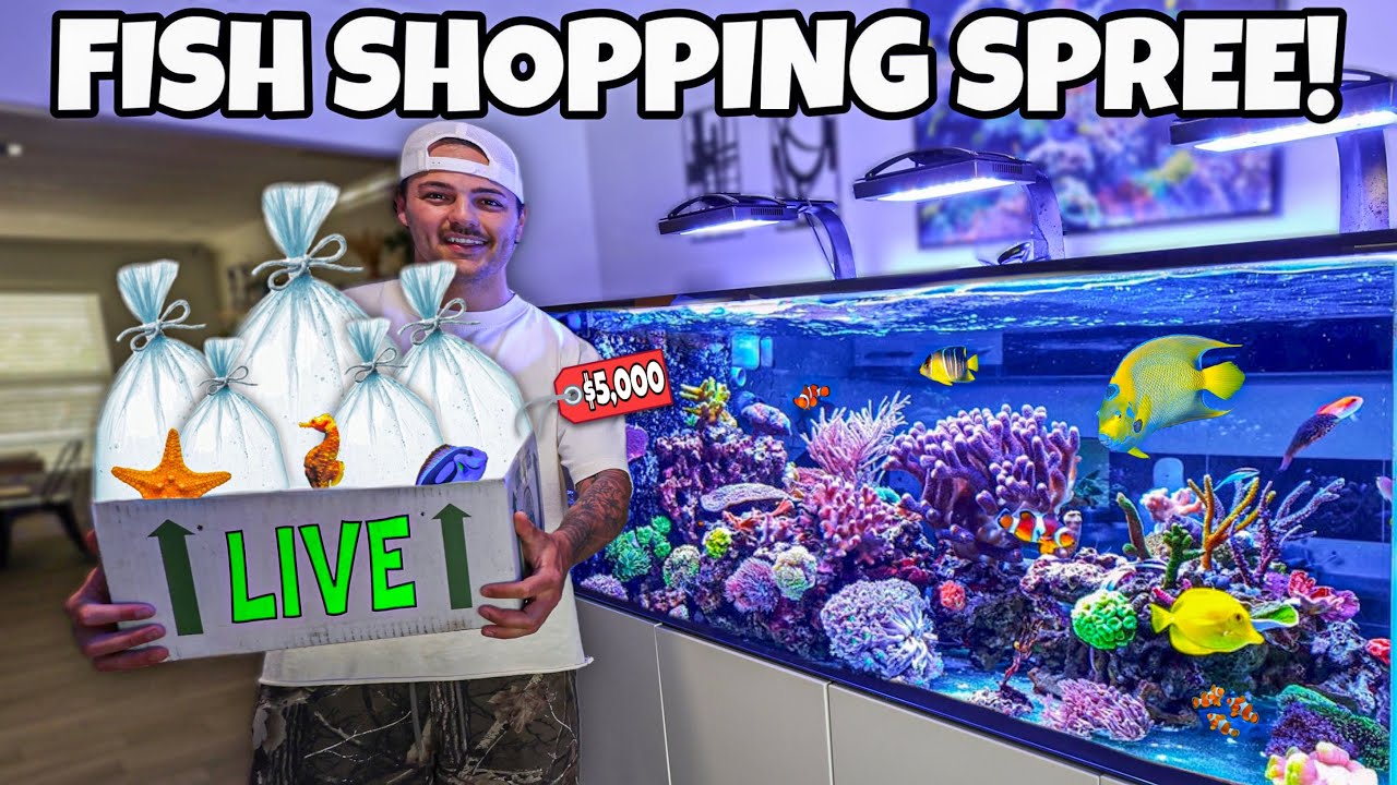 FISH SHOPPING SPREE for My 300G Saltwater REEF TANK!! (ft. Dereck Lively)