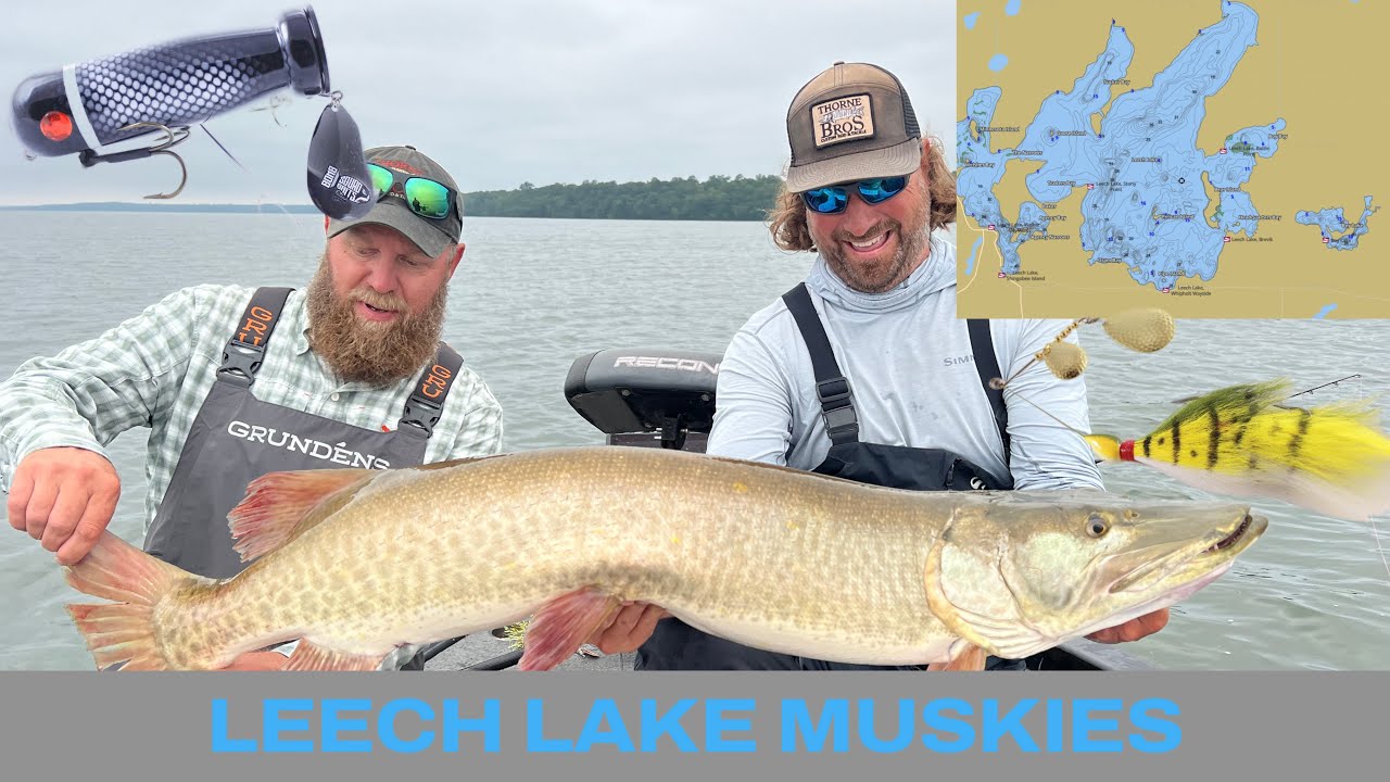 Thorne Bros. | Leech Lake Musky Fishing